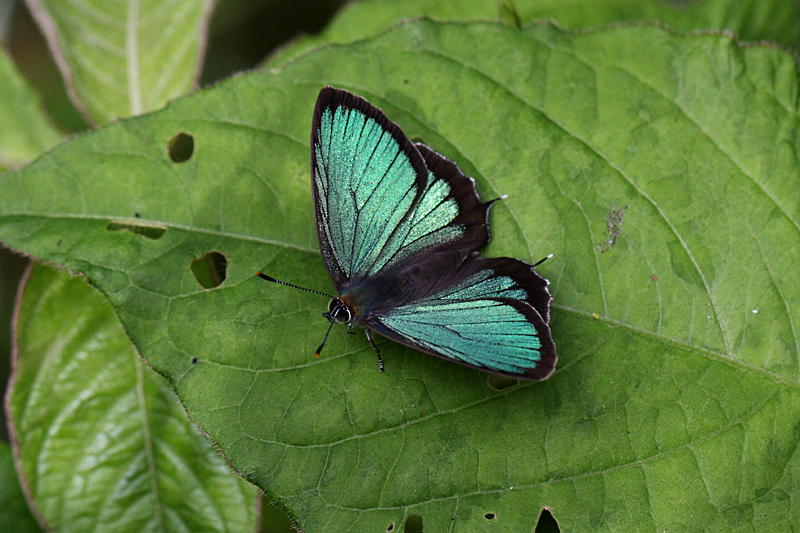 d0054625_22283944.jpg