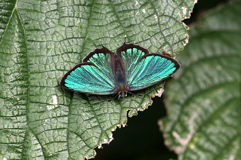 d0054625_22312447.jpg