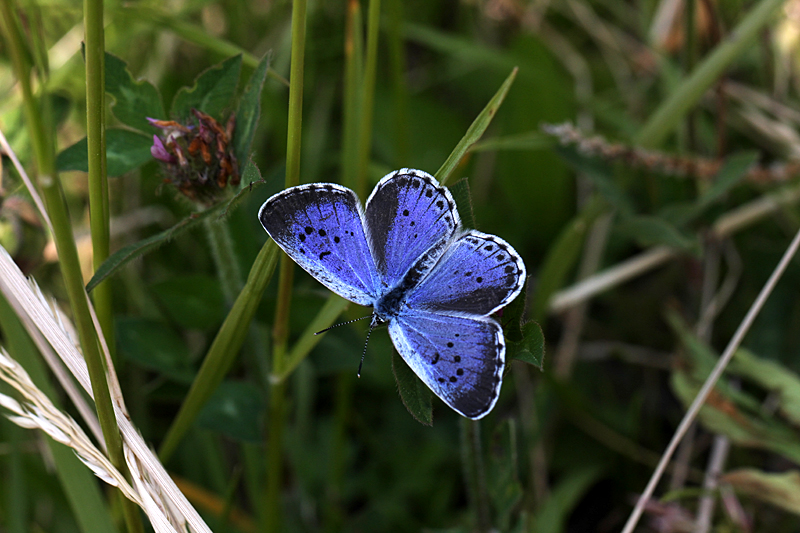 d0054625_2255456.jpg