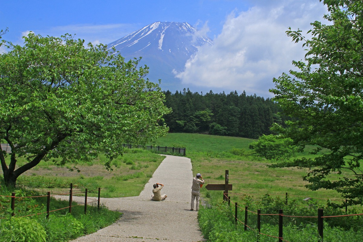 ウスバシロチョウ_c0104227_12424028.jpg