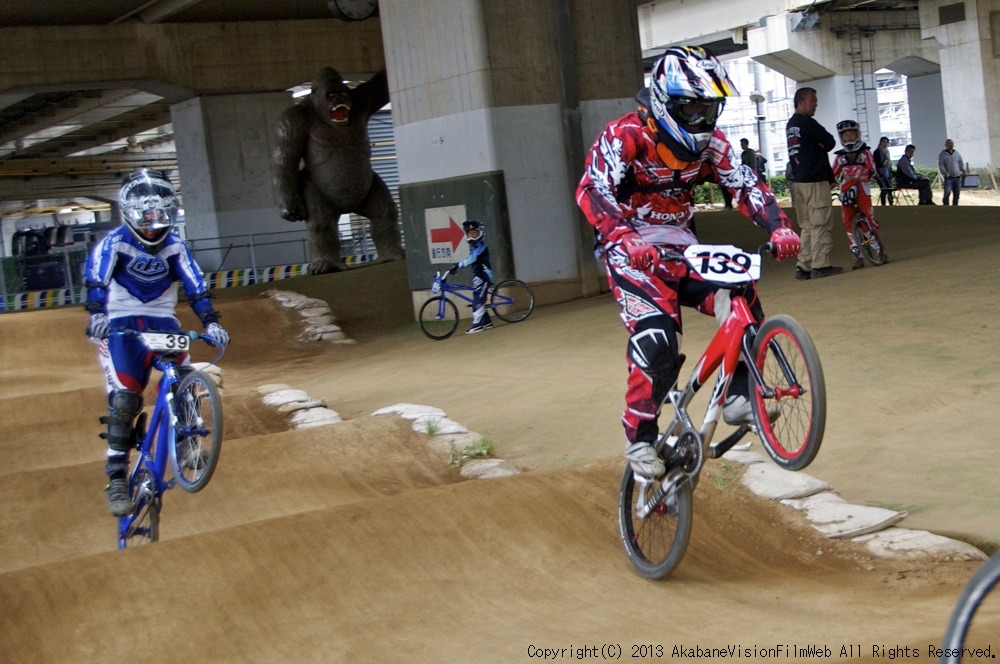 ２０１３JOSF川口ゴリラ公園６月定期戦VOL7：予選その２_b0065730_14334191.jpg