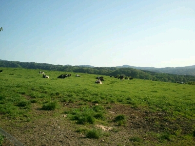 f0097539_2027422.jpg