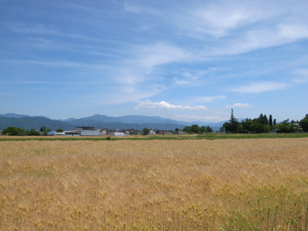 a0014840_23335846.jpg