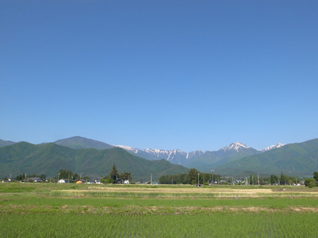 a0014840_2345420.jpg