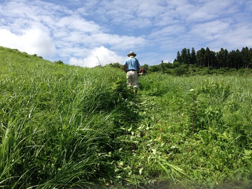 やっぱり草原は気持ちいい～♪_a0114743_15212643.jpg