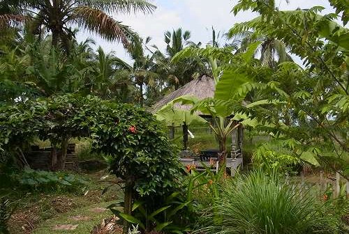 Tanah Cinta Village & Food Garden @  Payangan, Ubud (\'13年4月)_a0074049_0183226.jpg