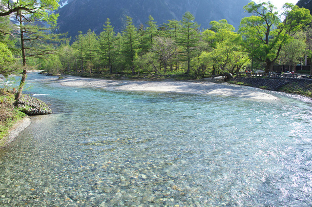 b0147449_19323219.jpg