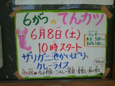 予告)2013.06.08てんカツ～ザリガニ池の池干しとカレー_a0219151_11133247.jpg