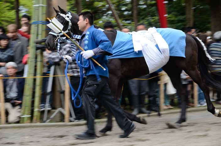 20130504 やんさんま 下村加茂神社 流鏑馬式 2/5_a0263952_17454644.jpg