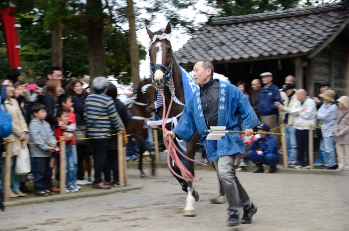 20130504 やんさんま 下村加茂神社 流鏑馬式 2/5_a0263952_17463664.jpg