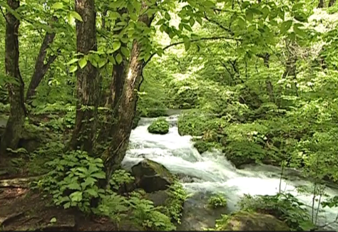今週の配信予定映画は「日本の音風景100選 東北編」_b0115553_865123.png