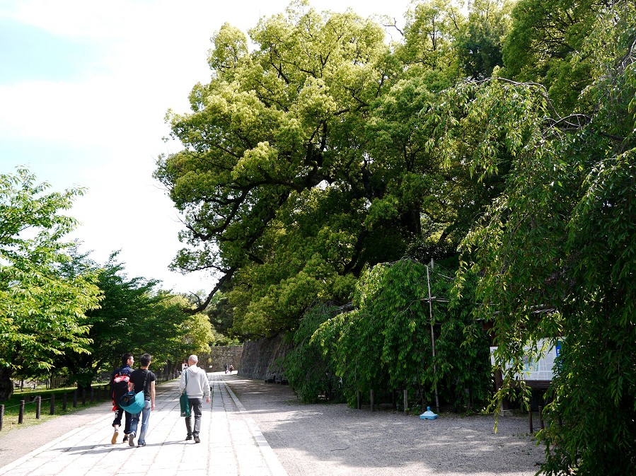 　　和歌山城公園にて_b0093754_20342510.jpg