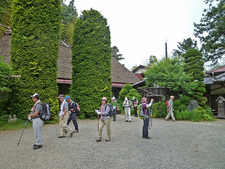 竹寺から子の権現(640m)　2013.06.02（日）_e0096154_2021480.jpg