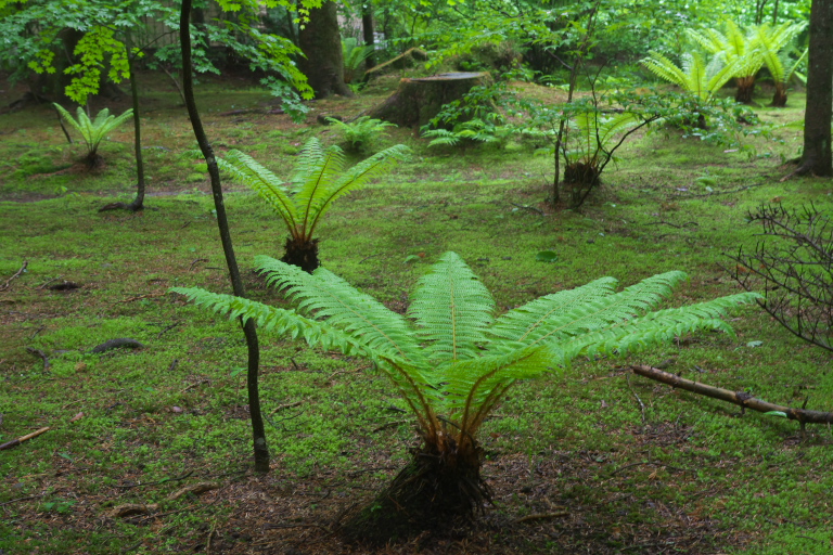 軽井沢・草津温泉旅行　　2013-5/29~6/1_d0237959_1259328.jpg