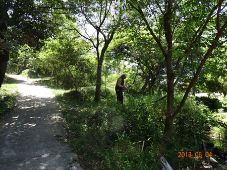c0108460_22222975.jpg