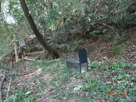 c0108460_22233415.jpg