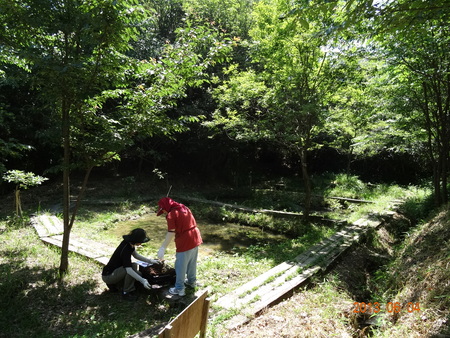c0108460_22243123.jpg