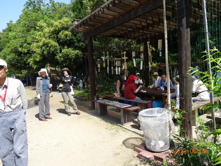 c0108460_22252720.jpg