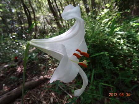 c0108460_23173181.jpg
