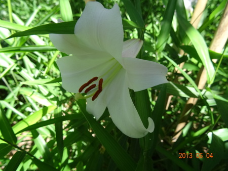 c0108460_2324371.jpg