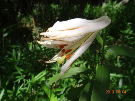 c0108460_23245951.jpg