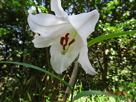 c0108460_23272071.jpg