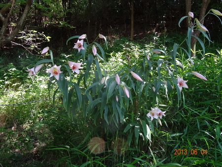 c0108460_23505810.jpg