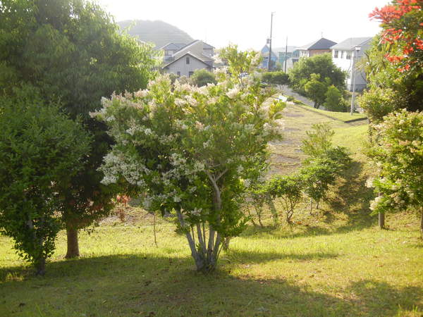 ’13,6,4(火)新聞に出てたよ~!_f0060461_971424.jpg