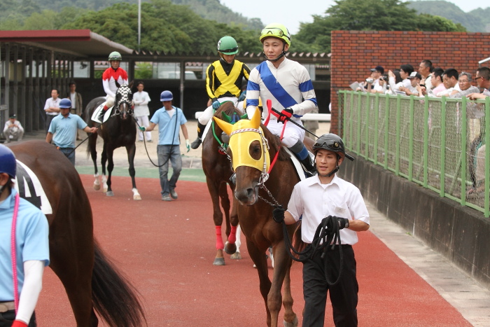 第55回 DW2013九州ダービー栄城賞 その2_a0077663_8364571.jpg