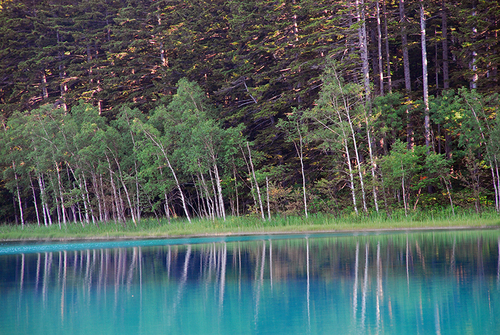 初夏の北海道　神秘の湖オンネトー湖_a0208066_1974377.jpg