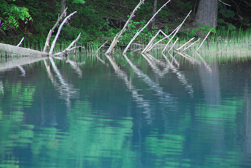 初夏の北海道　神秘の湖オンネトー湖_a0208066_198887.jpg