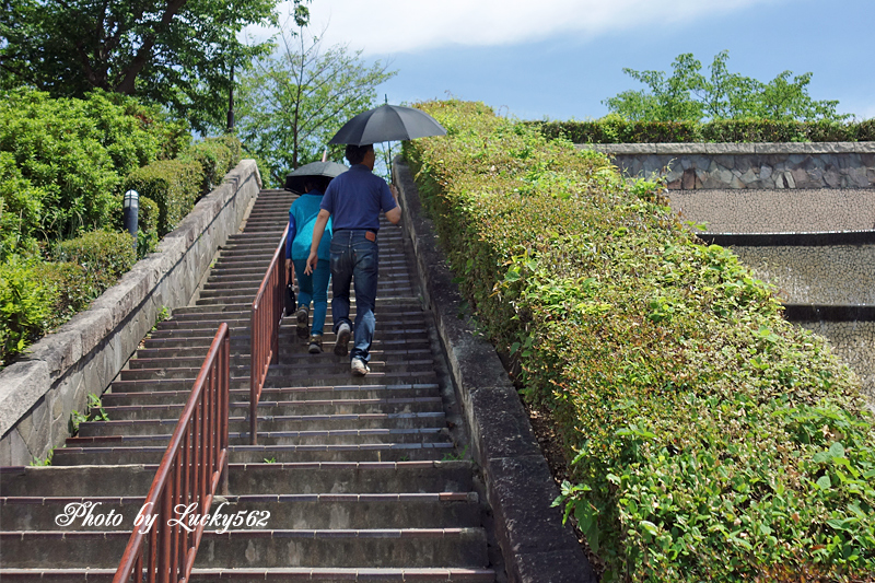 名古屋　はえ？_e0002371_941982.jpg