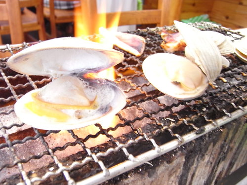 a0120372_22572932.jpg