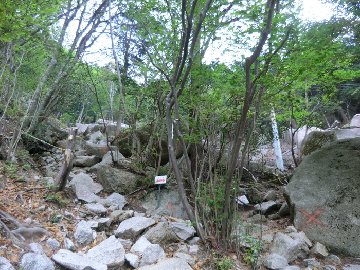 b0185573_18225071.jpg