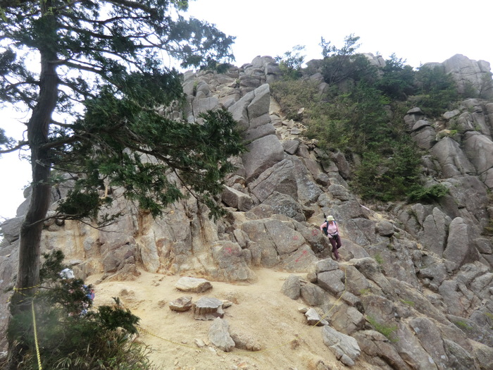 b0185573_20145656.jpg