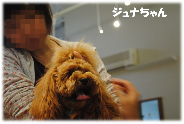 b0242873_1303267.png