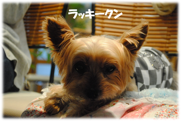 b0242873_1305171.png