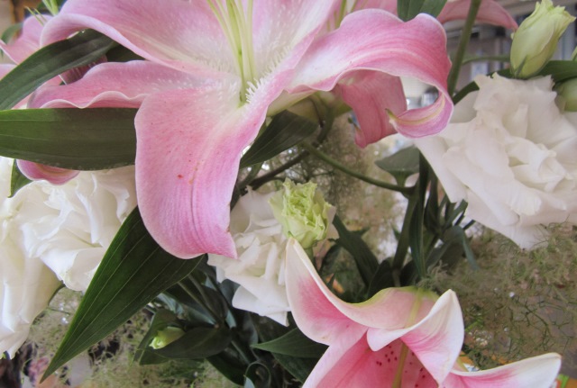 c0009275_23293168.jpg