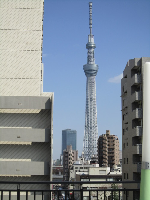 ヒッチコックさん (WINDOW)_d0261282_18323736.jpg