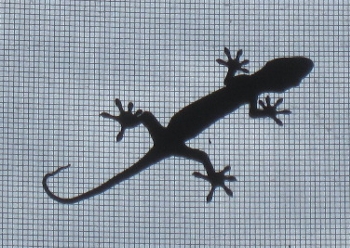 f0003283_17522085.jpg