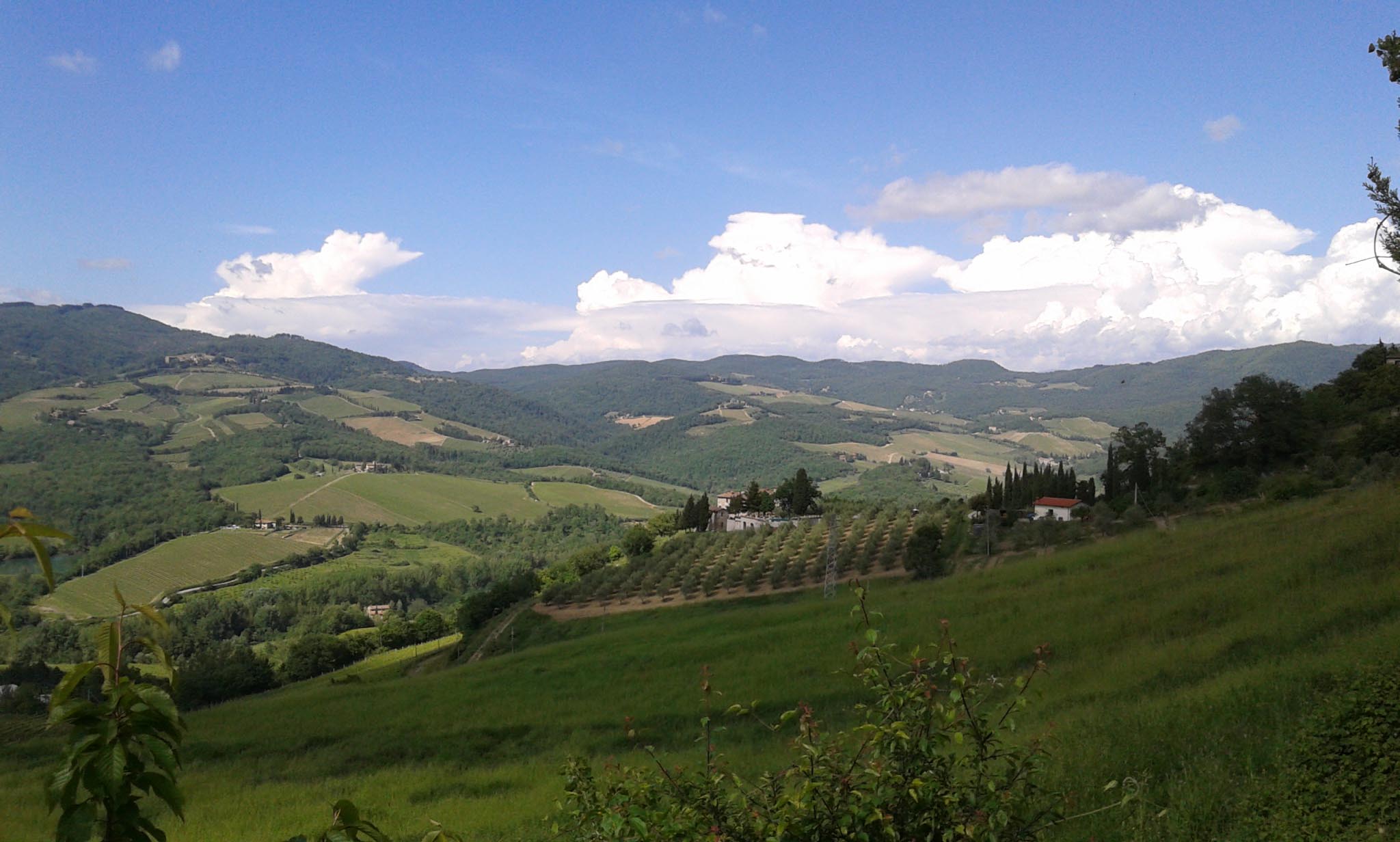 我が家のワイン教室ー今回はRADDA IN CHIANTI_c0179785_555895.jpg