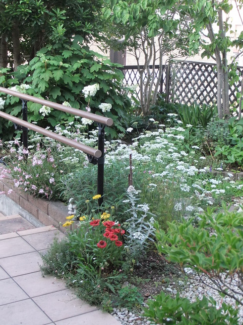 b0230589_1643993.jpg