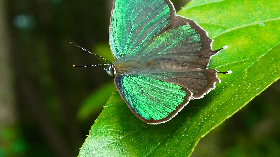 a0152692_17473040.jpg