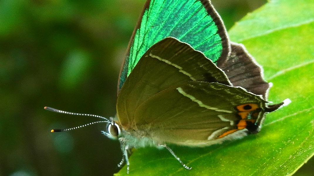 a0152692_17482675.jpg