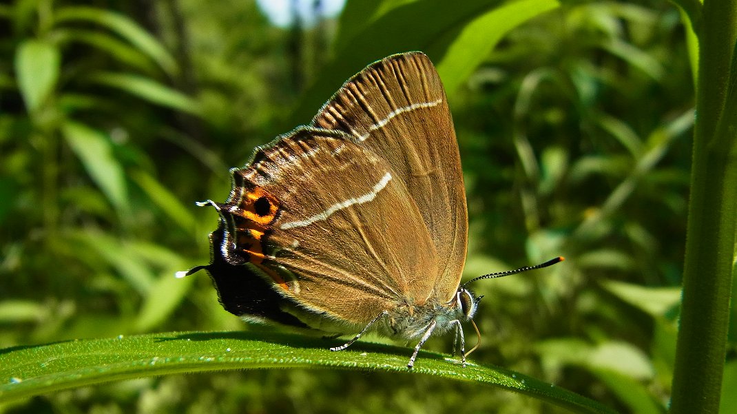 a0152692_20304575.jpg