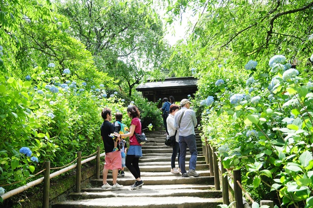 e0244492_12541713.jpg