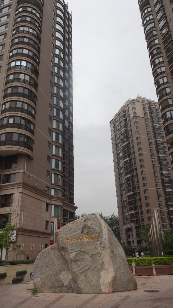d0170396_930597.jpg