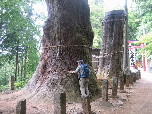 秩父　竹寺・子の権現…ハイキングクラブ山行_b0154898_23273685.jpg