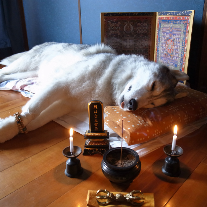 さようなら_c0049299_1184179.jpg