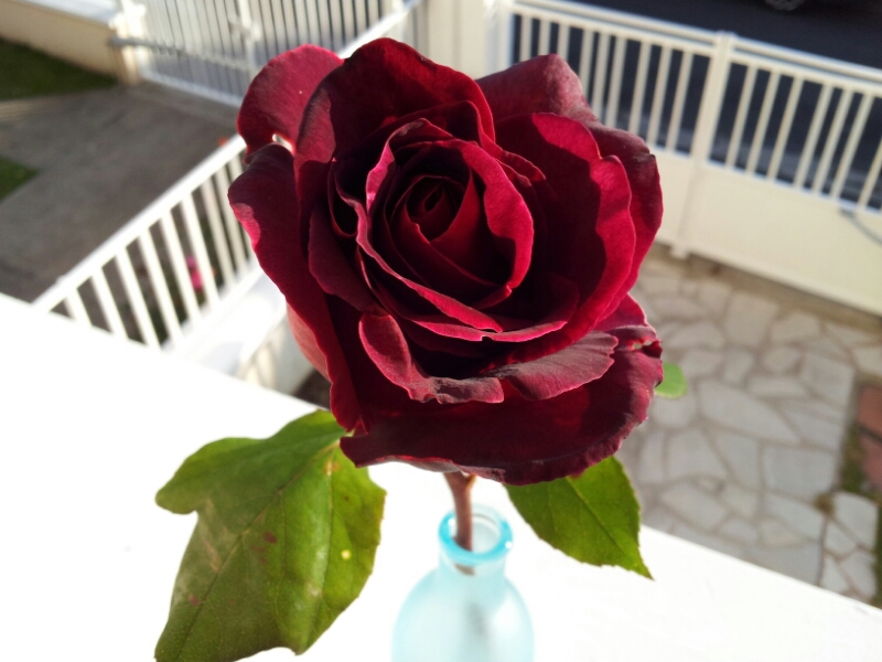 c0240600_6243090.jpg